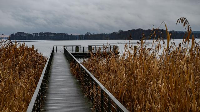 Wetter: Wolken und Regen statt Schnee in Berlin und Brandenburg