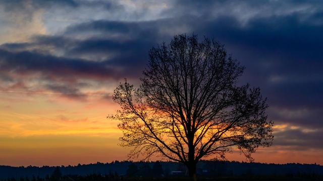 Wetteraussichten: Sonne und Regen in Berlin und Brandenburg