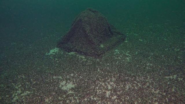 Aufgetaucht: Vermisste Kugel mit Gin im Bodensee gefunden