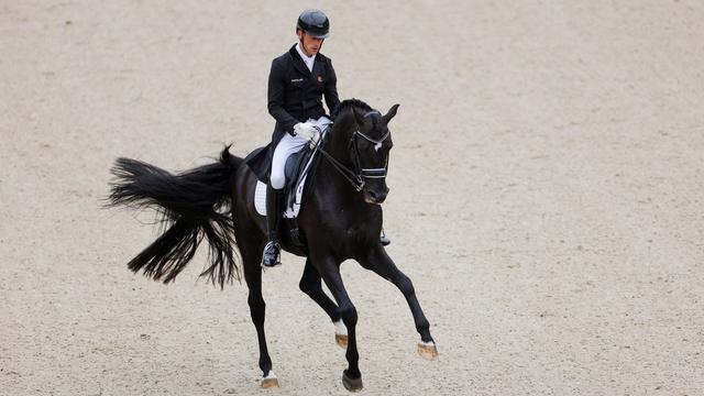 Dressurreiten: Dressurreiter Justin Verboomen weiter auf Erfolgskurs