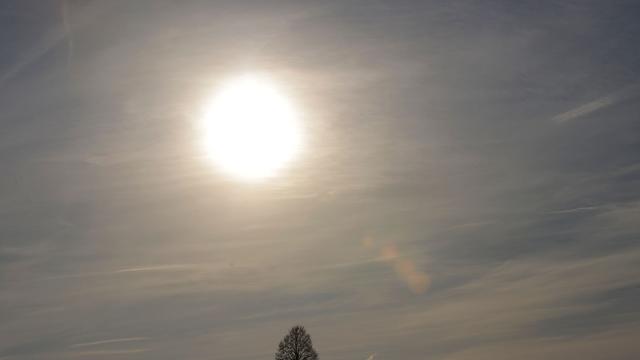 Wetter-Vorhersage: DWD erwartet nur wenige Schneeflocken an Weihnachten