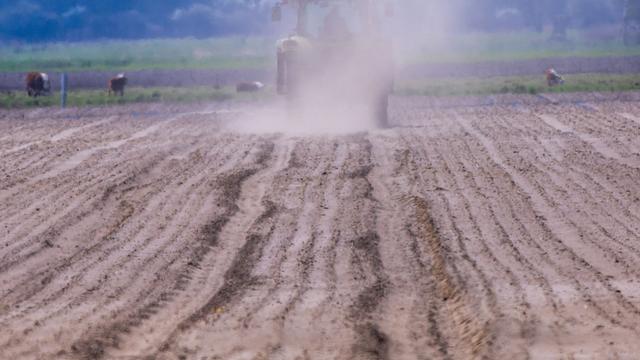 Agrarförderung: EU-Agrargelder sichern Liquidität von 3.900 Thüringer Höfen