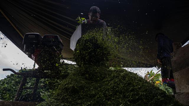 Drogenschmuggel: Kolumbien beschlagnahmt 27 Tonnen Kokain auf hoher See