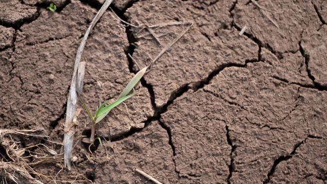 Klimawandel: Amt: 2025 war das fünfzehnte zu warme Jahr in Folge