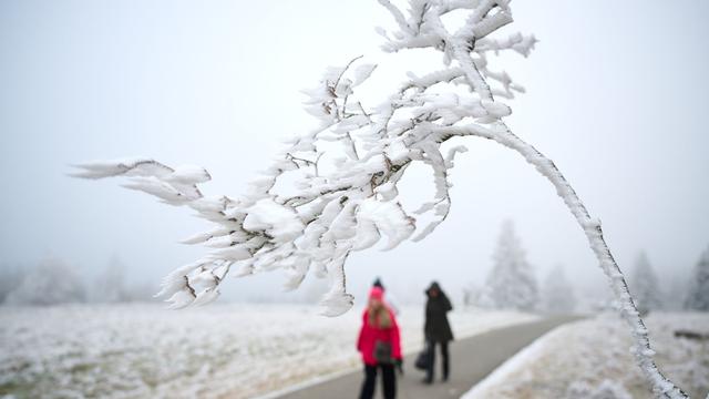 Wetter: Kältestes Weihnachten seit 15 Jahren möglich - kaum Schnee