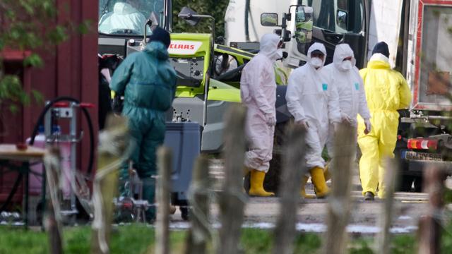 Ansteckende Tierkrankheit: Neuer Verdachtsfall von Geflügelpest am Niederrhein