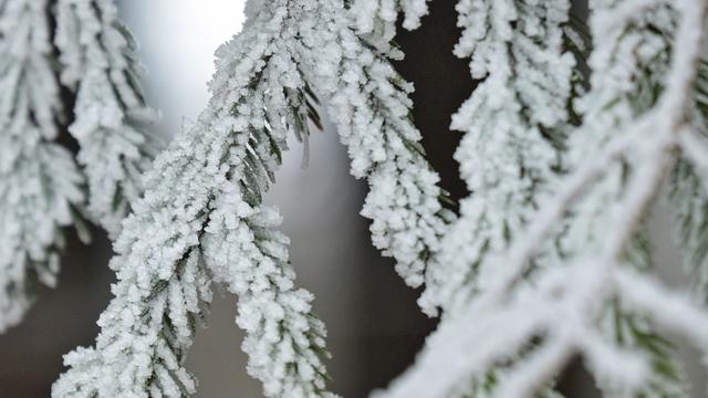 Wetter: Vereinzelt fällt Schnee, aber zumeist grüne Weihnacht