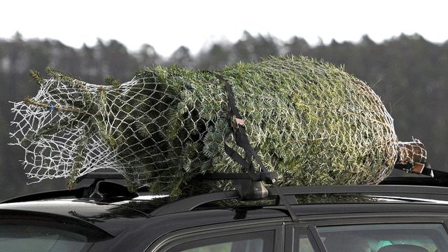 Verkehr: Verlorener Weihnachtsbaum sorgt für Einsatz auf der Autobahn