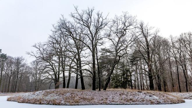 Wetterausblick: In Berlin und Brandenburg sinken die Temperaturen auch in den kommenden Nächten unter den Gefrierpunkt.