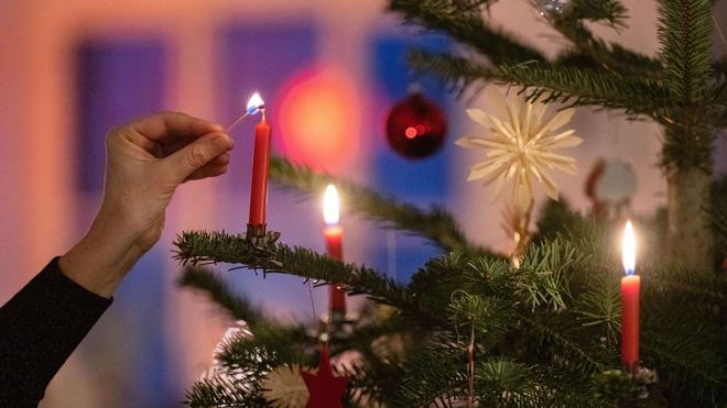 Feuerwehr im Einsatz: Laut dem Sohn soll der Baum plötzlich angefangen haben zu brennen. (Symbolbild)