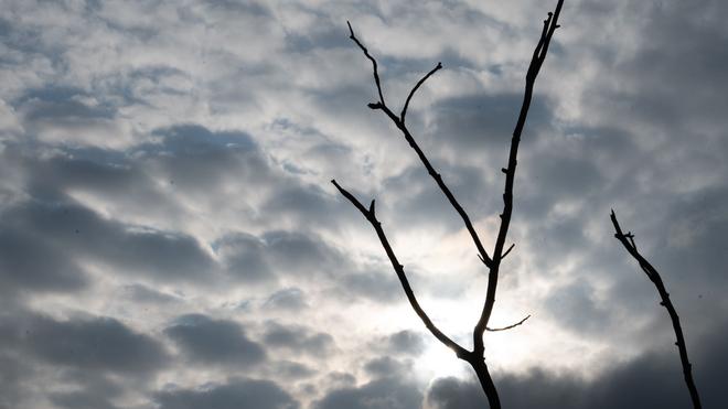 Wetter: In Mecklenburg-Vorpommern kann in den kommenden Tagen immer wieder etwas Sonnenschein durch die Wolken fallen. (Symbolbild)