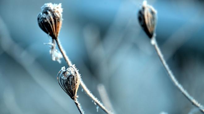Auf Sonne folgt Sprühregen: In Nordrhein-Westfalen bleibt es auch in den kommenden Tagen frostig. (Archivbild)