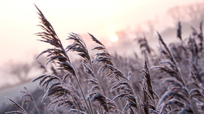 Wetter: Auch wenn sich die Temperaturen zu Beginn der neuen Woche tagsüber im Plusbereich befinden, bleibt es in den Nächten frostig. (Symbolbild)