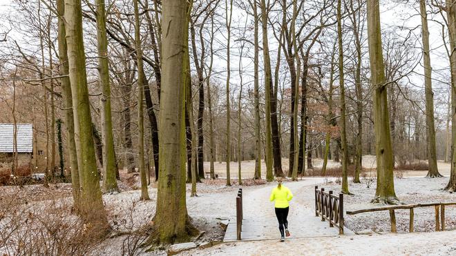Wetter: Zum Jahreswechsel könnte es in Berlin und Brandenburg schneien. (Symbolbild)