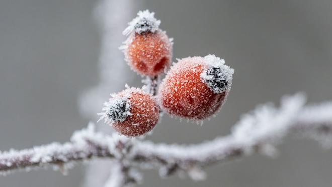 Wetterbericht: Gerade nachts wird es bitterkalt in Baden-Württemberg.