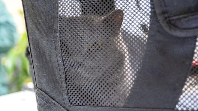 Tierschutz: Das Tierheim Berlin hat zahlreiche Haustiere aufgenommen.