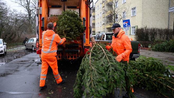 Ende der Weihnachtszeit: Zwischen dem 10. und dem 24. Januar holt die BSR im kommenden Jahr wieder ausgediente Weihnachtsbäume ab. (Archivbild)