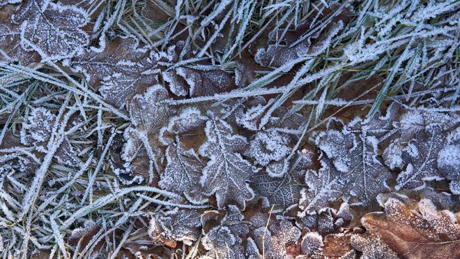Wetter: Rheinland-Pfalz und das Saarland starten mit Winterwetter in die Silvesterwoche. (Symbolfoto)