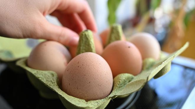 Tierseuche: Engpässe bei Eiern in Sachsen - Experte rechnet mit leichter Entspannung im Januar. (Symbolbild)