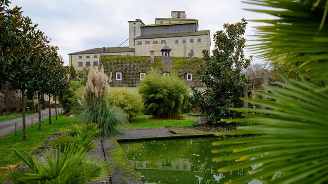 Exotische Exponate: Neben dem denkmalgeschützten Wohnhaus können Besucher im zwei Hektar großen Garten spazieren. (Archivbild)