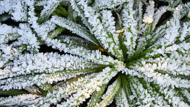 Wetterprognose: Frostiges Wetter in Hessen. (Symbolbild)