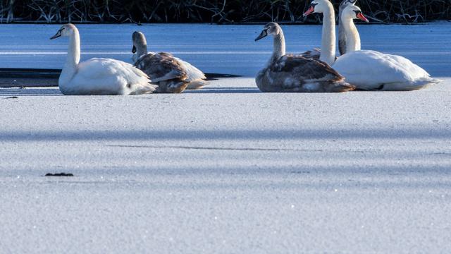 Wetter: Wetter-Bilanz: 2025 war in MV warm und trocken