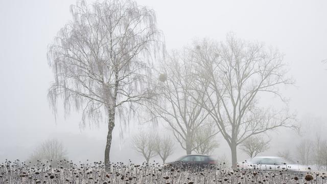 Wetter: Weiter Winterwetter – Autofahrer müssen mit Glätte rechnen