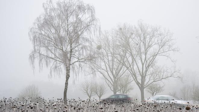 Wetter: Autofahrer in Rheinland-Pfalz und Saarland erwarten ebenso im neuen Jahr winterliche Straßenverhältnisse. (Archivbild)