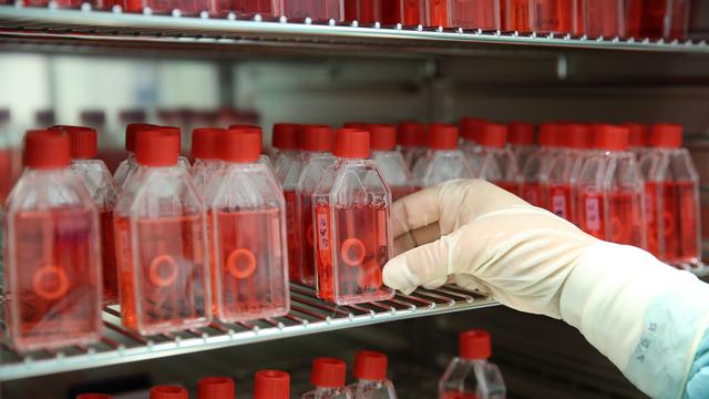 Herzklappen: Rekord bei Gewebespenden - Kliniken melden mehr Spender