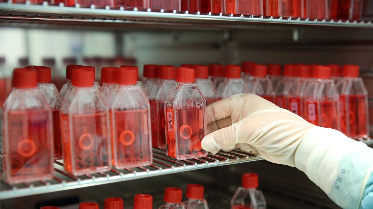 Herzklappen: Rekord bei Gewebespenden - Kliniken melden mehr Spender