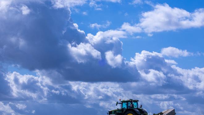 Landwirtschaft: Es lohnt sich oft nicht: Die Produktionskosten für Agrarprodukte liegen teils über den Verkaufspreisen. (Archivbild)