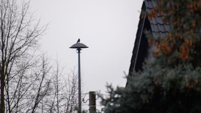 Neuanschaffungen geplant: Rund 2.000 Sirenen gibt es in Sachsen-Anhalt, die im Notfall vor Gefahren warnen sollen - etwa bei Hochwasser. (Archivbild)