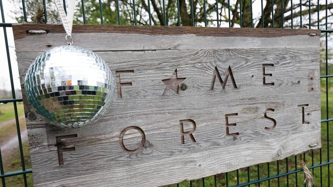 Bäume für jeden Arena-Auftritt: Erst Glitzer, Glamour und Nebelmaschine - dann Naturschutz mit einem eigenen Baum im Fame Forest. In und um Hamburg wird für jede Veranstaltung in der Barclays Arena ein Baum gepflanzt. (Archivbild)