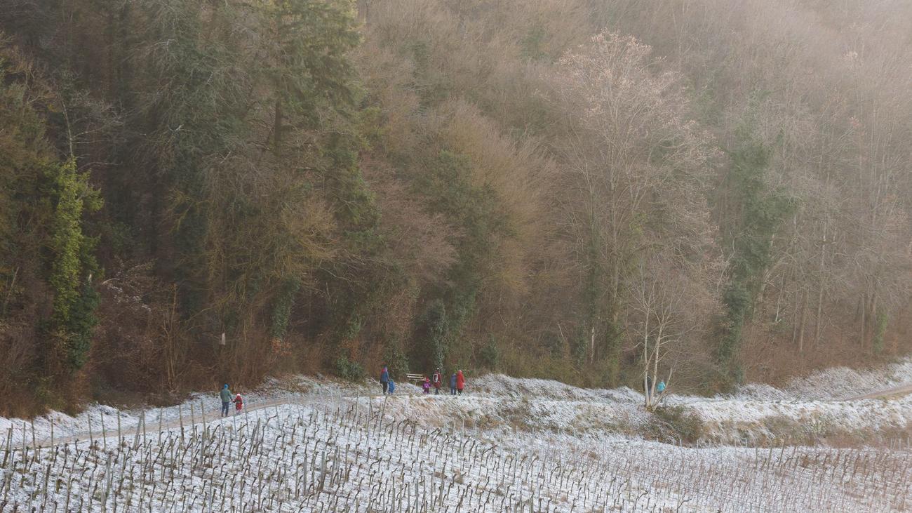 DWD-Prognose: Schnee, Sturm, Gewitter: Winter zeigt Muskeln
