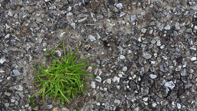 Umweltschutz: Thüringens Umweltminister Tilo Kummer (BSW) will, dass weniger Flächen versiegelt sind (Illustration)