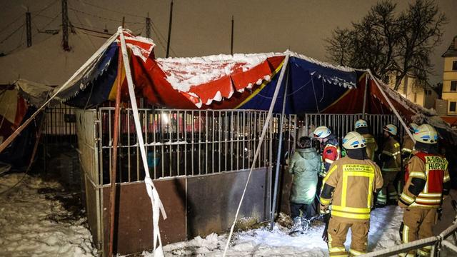 Einsatz in Lüdenscheid: Zirkuszelt bricht unter Schneelast zusammen - Tiere gerettet