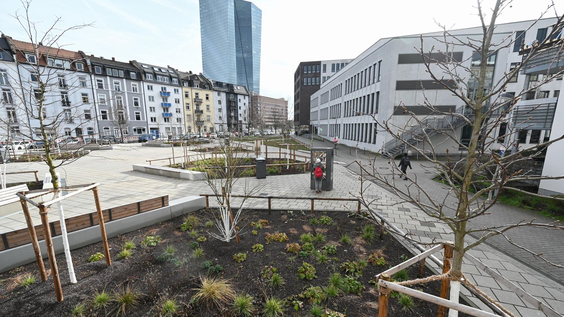 Klimaschutz: Städte packen Maßnahmen gegen Klimawandel an