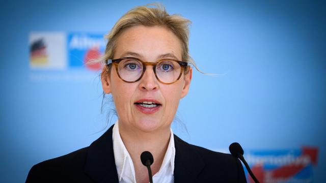 Koalitionskrise: AfD-Chefin Weidel fordert Neuwahl in Brandenburg