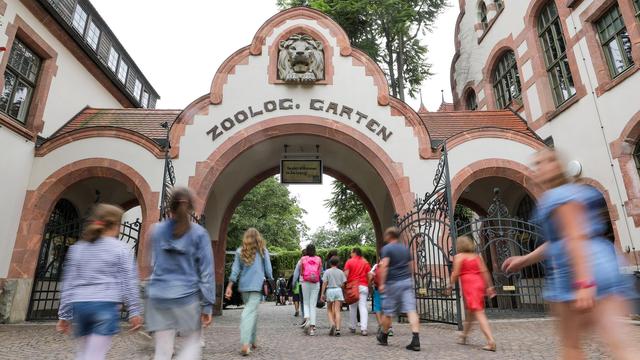 Jahresvorschau: Das erwartet die Besucher 2026 im Zoo Leipzig
