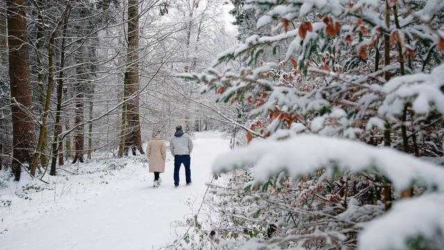Wetter: Kälteste Nacht: Dreikönigstag bringt Rekordtief des Winters