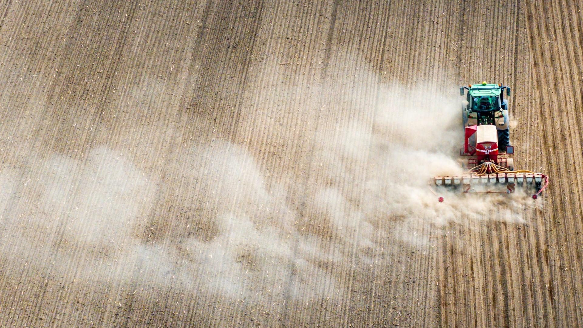 Nachfolger in Schwerin: Schwesig ernennt neuen Agrar-Staatssekretär