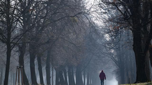 Dresden: Großer Garten mit neuem Skulpturendepot