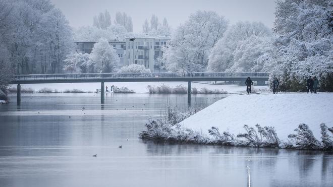 Tiere: Der Bremer Werdersee hat aktuell eine dünne Eisschicht. (Archivbild)