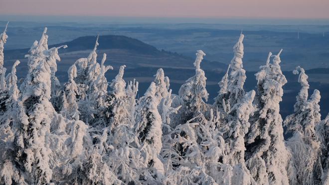 Wetter: Die Nacht zu Donnerstag sorgte in vielen Teilen Sachsens, Sachsen-Anhalts und Thüringens für klirrende Kälte. (Archivbild)