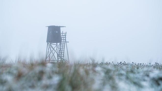 Frau schwer verletzt: Der Jäger schoss aus seinem Hochsitz. (Symbolbild)