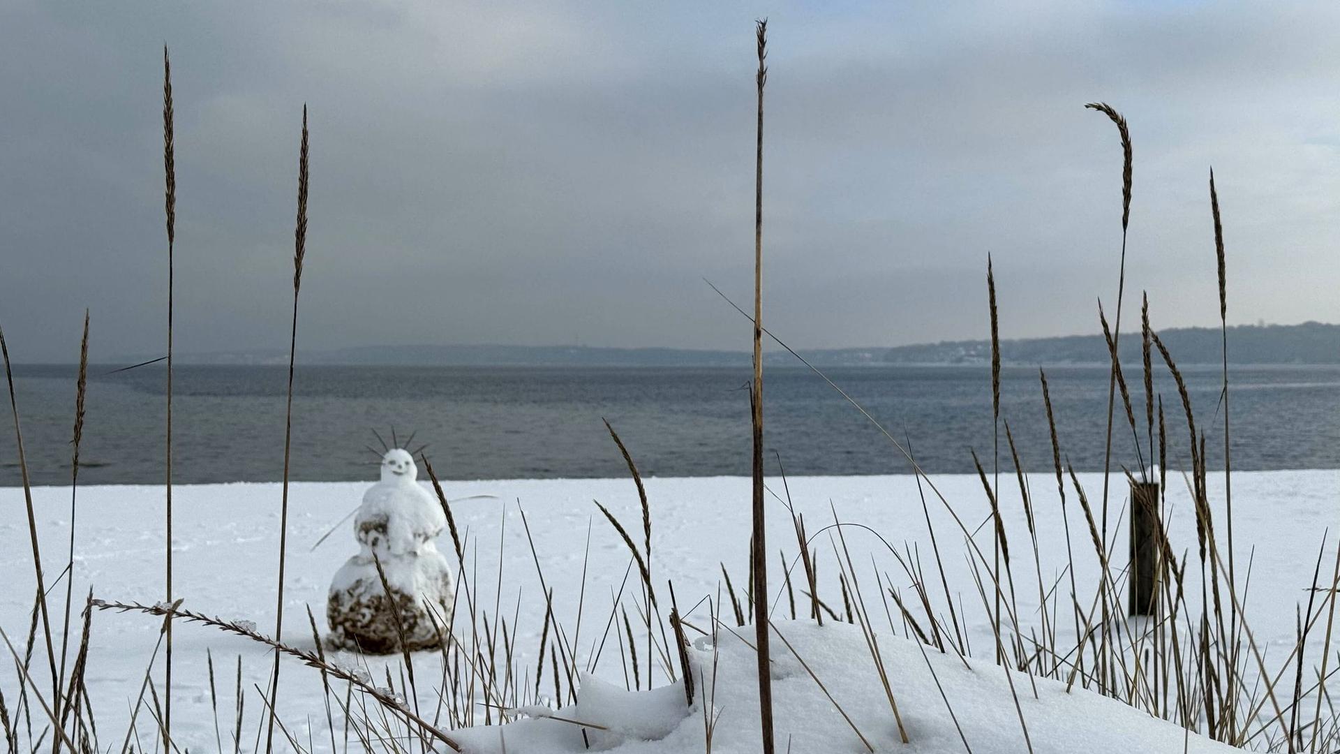 Winter in Norddeutschland: Sturm "Elli" – Schulen in mehreren Regionen bleiben zu