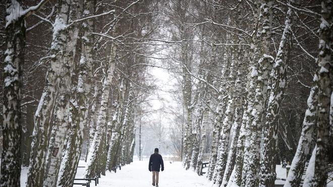 Winter im Nordosten: Ab Freitagmittag bleiben die Schweriner Friedhöfe geschlossen. (Archivbild)