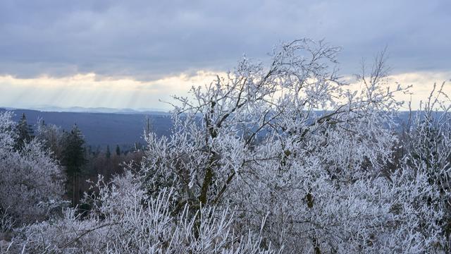 Wetter: Keine Schulschließungen im Saarland wegen des Schnees