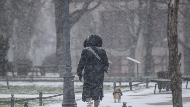 Wetter: Schlösserland Sachsen warnt vor Glätte und Astbruch