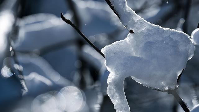 Wetter: Tierpark Chemnitz wegen Schnee dicht – Straßen gesperrt